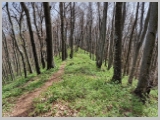 Slika_096.webp