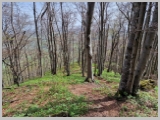 Slika_097.webp