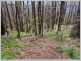 Slika_099.webp