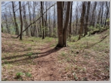 Slika_100.webp