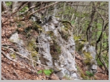 Slika_107.webp