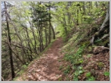 Slika_111.webp