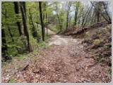 Slika_112.webp