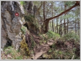 Slika_120.webp
