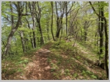 Slika_121.webp