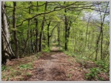 Slika_123.webp