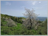 Slika_127.webp