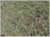 Slika_132.webp