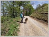 Slika_135.webp