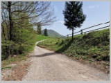 Slika_138.webp