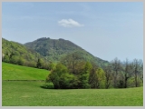 Slika_139.webp