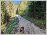 Slika_004.webp