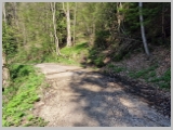 Slika_005.webp