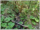 Slika_007.webp