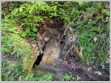 Slika_009.webp