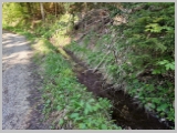 Slika_010.webp