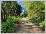 Slika_011.webp