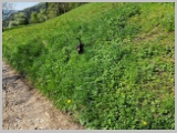 Slika_013.webp