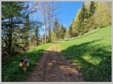 Slika_016.webp
