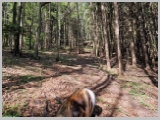 Slika_022.webp