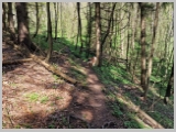Slika_023.webp