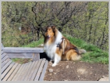Slika_041.webp