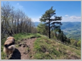 Slika_048.webp