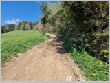 Slika_062.webp