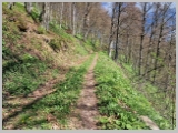 Slika_067.webp