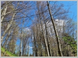 Slika_069.webp