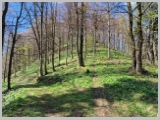 Slika_071.webp