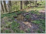 Slika_072.webp