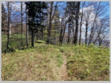 Slika_073.webp