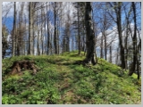 Slika_074.webp