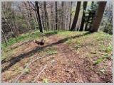 Slika_076.webp