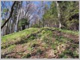Slika_078.webp