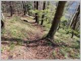 Slika_079.webp