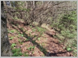 Slika_080.webp