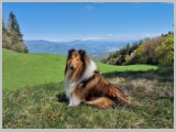 Slika_085.webp