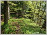 Slika_095.webp