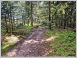 Slika_099.webp