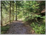 Slika_111.webp