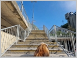 Slika_003.webp