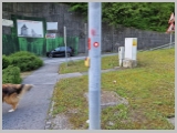 Slika_008.webp
