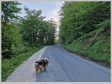 Slika_014.webp