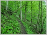 Slika_020.webp