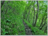 Slika_023.webp