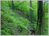 Slika_024.webp