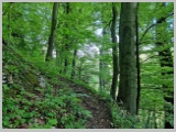 Slika_027.webp
