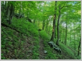 Slika_029.webp